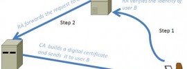 digital certificate creation process
