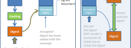 how digital signature works