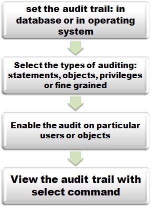 oracle audit settings process