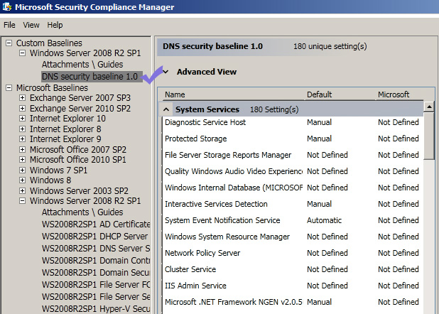 scm settings for DNS